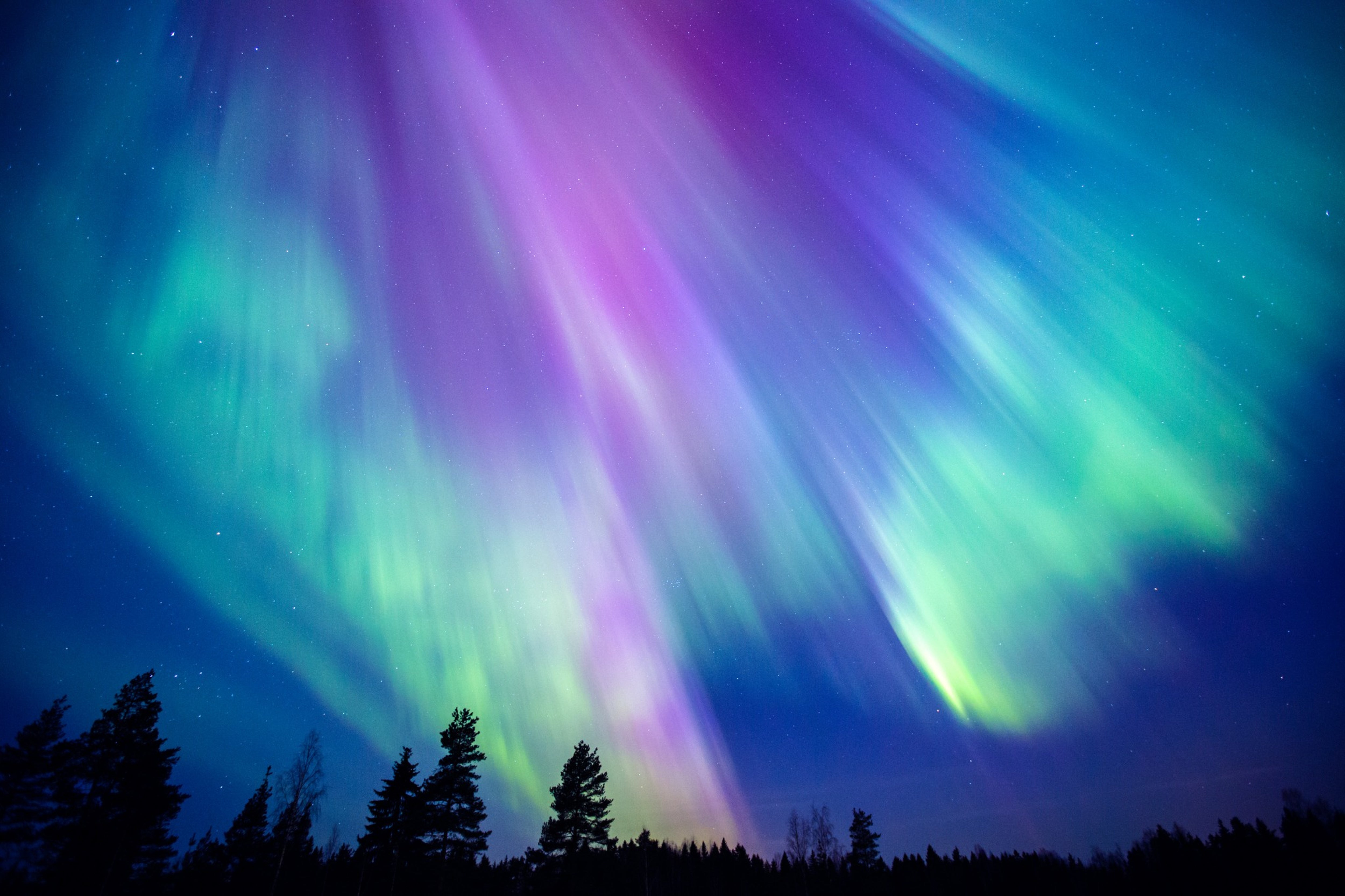 Experiencia para grupos pequeños de auroras boreales con fotos incluidas